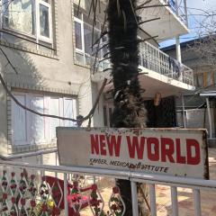 New World Guest House