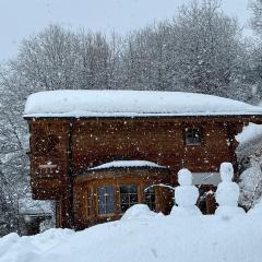 Fabulous for skiing and summer hiking - La Tzoumaz