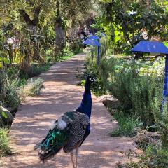 Eco Farm Tayssir Marrakech