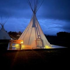 Experience Pet-Friendly Perfection: Classic Tipi Glamping Near Wind River Mountains, WY