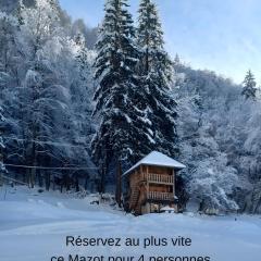 Mazot du Criou - Samoëns