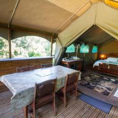 Wilderness Glamping Tents