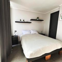 Studio Santiago, Moderno, WIFI, Parque O Higgins