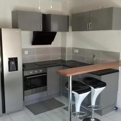 Appartement confortable à Pointe-à-Pitre de 32 m² avec terrasse