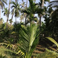 Indraprasth Holiday Home ARAVI