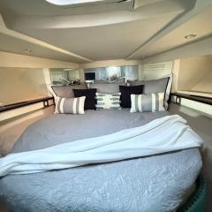 punta excursiones the king of kings