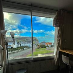 La Perle Marine superbe vue mer terrasse 30m2