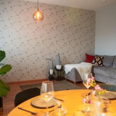 Koskikatu City Apartment