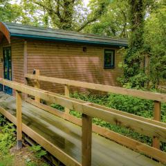 Woodpecker - Uk43451