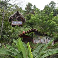 MAYU PATANPI Amazon Lodges