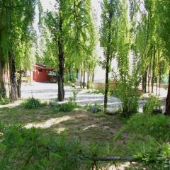 Los Abedules Bungalow - homestay