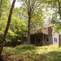 Secluded Cabin With Ocean Access