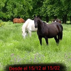 Casa de campo Spaequino La Colorada