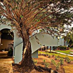 Selah | Travelers Nesters in Palmas Del Mar