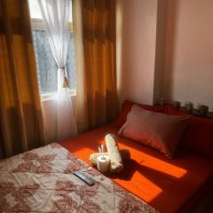 Urban Deca Shaw - PaulBert's Cabins II