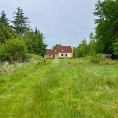Rummeligt Feriehus På Stor Naturgrund