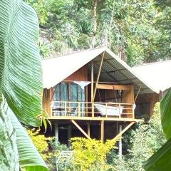 มาค่ะ ฟาร์มสเตย์ ห้วยเขย่ง สวนคุณตา สวนทุเรียนทองผาภูมิ