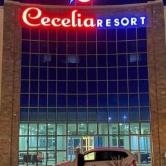 منتجع سيسليا ريزورت الغردقه