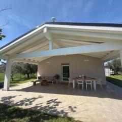 Casa RiVa - Among olive trees and the Tuscan coast