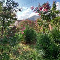 Apartman Ipak Se Okrece