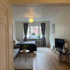 Södra innerstadens pärla