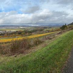 Ferienwohnung Rebennah - modern - Freisitz - Küche - ideal für Monteure