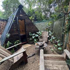 Forest Small house-Nelion