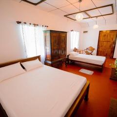 Aurora පාට පාට