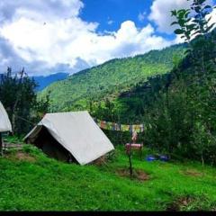 Organic Stay camping and mud house