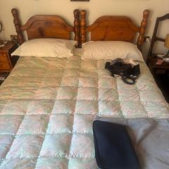 appartamenti uso turistico PLAZA collection