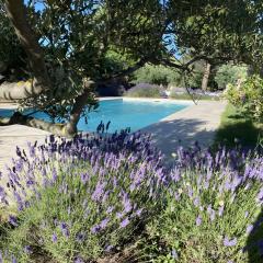 La Pierre de L'Aigle