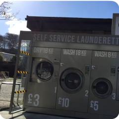 Tree Top View Chalet