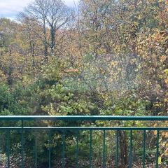 CASA D'IRENE Havre de paix cosy romantique proche des châteaux de la Loire et a proximité du Parc de Beauval