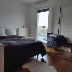 Chambre dans penthouse avec terrasse Parc Expo, Orléans, Orly & CDG