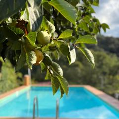 Casa Rural Orilla del Hueznar