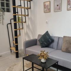 Cocon cosy en plein centre ville proche Paris à 2 pas de la gare