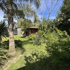 Comfortable house with a large garden