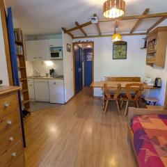 Appart cosy 4 pers, proche pistes et piscine - FR-1-342-341