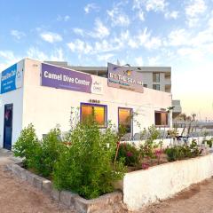 Camel Dive Club By The Sea Inn