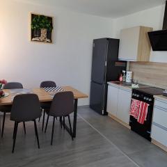 Budget Apartment KNM5