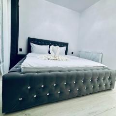 Secret Forest Avrig By Erwin