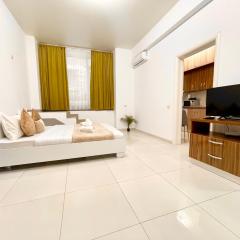 Central Address Studio 13 - Palace of Parliament Area