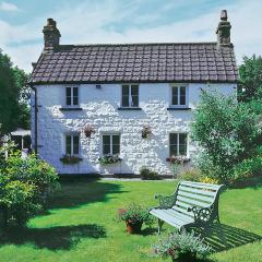 Foxes Reach - Hw7421