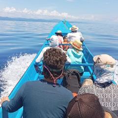 Bruno Raja Ampat Homestay