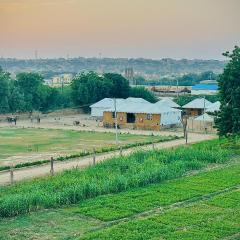 The Farm Stay Jaisalmer
