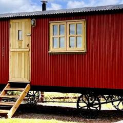 Slowhayes Retreat in the New Forest