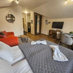 Rustic Mountain Apartment - A55