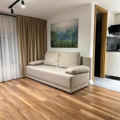 Robin Hood Apartament