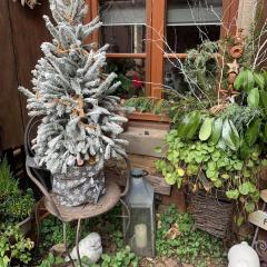 Gîte de caractère au calme , proche quartier historique, Au Merlenchanteur