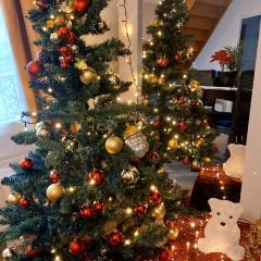 La Coccinelle, votre Oasis entre Paris-Disney